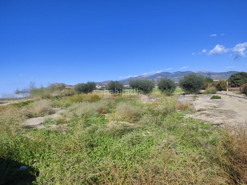 Foto 5f68b212-8a13-4ad8-8e80-1105ba69ecc1. Finca rústica ¡tu paraíso rural te espera! en Totana