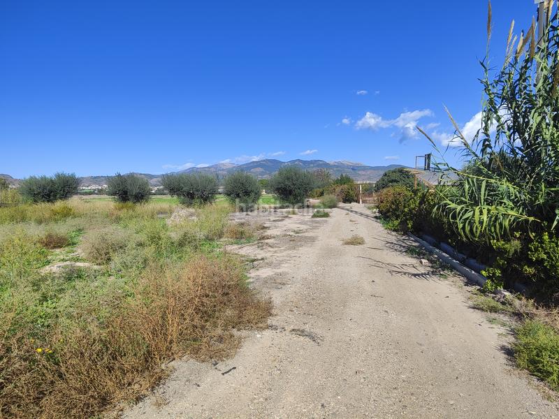 Foto 849fb6f9-46d7-4cf3-83cc-7ab053c348f6. Finca rústica ¡tu paraíso rural te espera! en Totana