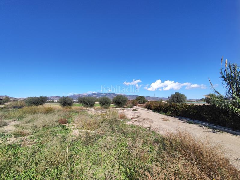 Foto 98bd8b71-b20d-482d-8caa-bdd29836e8e1. Finca rústica ¡tu paraíso rural te espera! en Totana