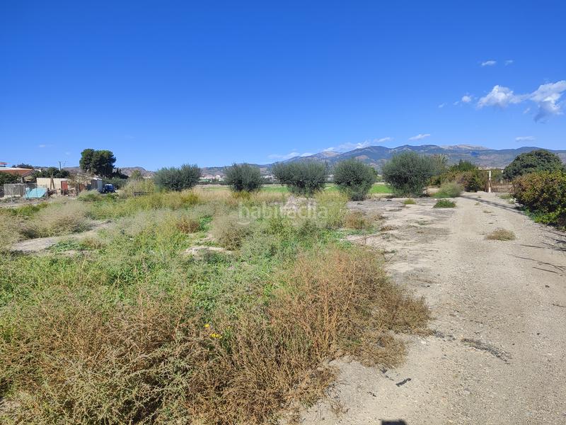 Foto f9647e3d-6fe9-4672-bb29-68d66583eff4. Finca rústica ¡tu paraíso rural te espera! en Totana