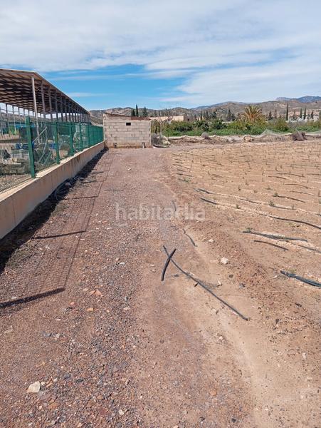 Foto 3140a403-9d46-4b95-84d4-62351142f577. Fondo rustico in Totana