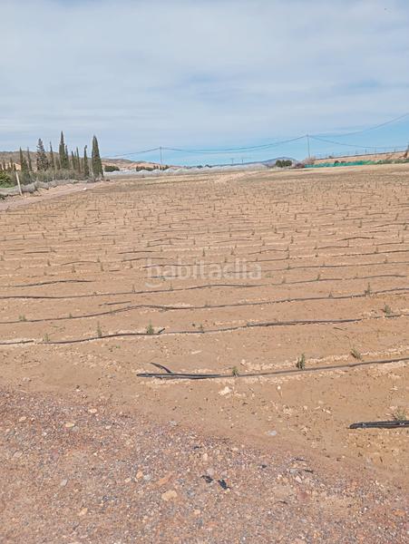 Foto 61a15a31-9f2f-43b5-8587-11cd3a71c7c7. Fondo rustico in Totana