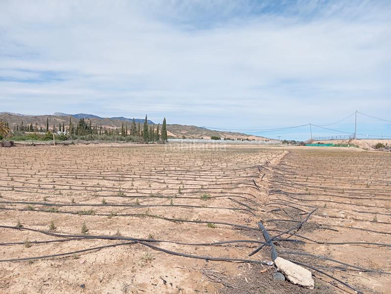 Foto 711f30fb-e3ce-47a4-bbaf-453964f0fa78. Fondo rustico in Totana