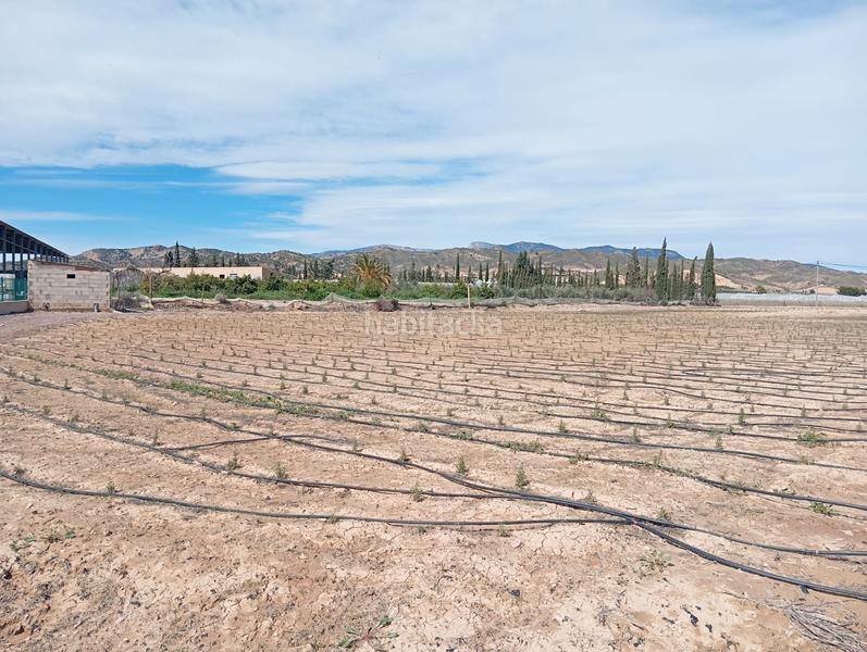 Foto 982a1744-f838-4afe-a5cf-e5f4f7b6ae8f. Fondo rustico in Totana