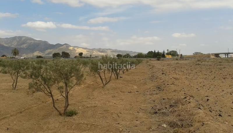 Foto 9635ecaa-1ac9-4add-8287-f79f6280a251. Propriété dans Alhama de Murcia ciudad Alhama de Murcia