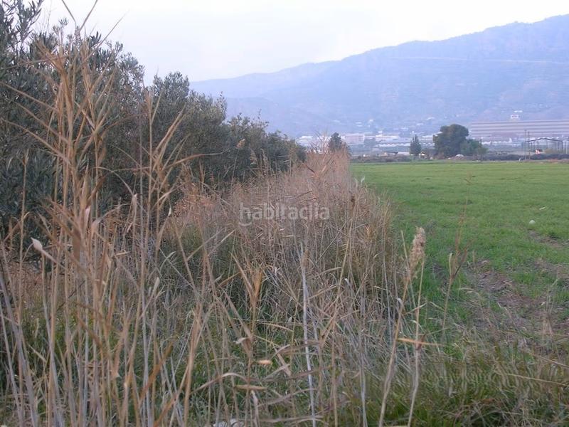 Foto ee6a8386-289f-49d9-9ece-9a195bdba835. Propriété dans Alhama de Murcia ciudad Alhama de Murcia