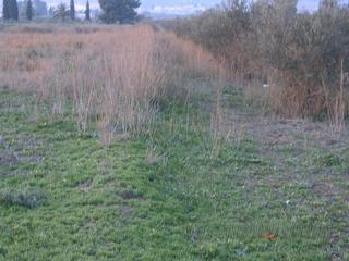 Fondo rustico in Alhama de Murcia Ciudad. Terreno en venta en alhama de murcia ciudad