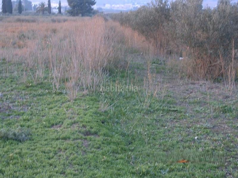 Foto f01433a2-e164-42d4-97f6-55fdb8e5a79d. Propriété dans Alhama de Murcia ciudad Alhama de Murcia