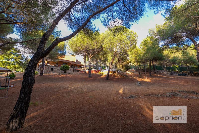 Foto ca89f56a-8c97-49b4-86a7-baa62f9d806a. Casa amb piscina a Parquelagos-Puente Nuevo Galapagar