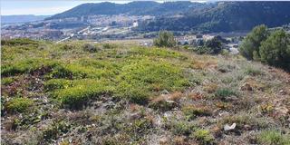 Terreny residencial a Vall d´Uixó (la). Se vende gran solar en partida sumet