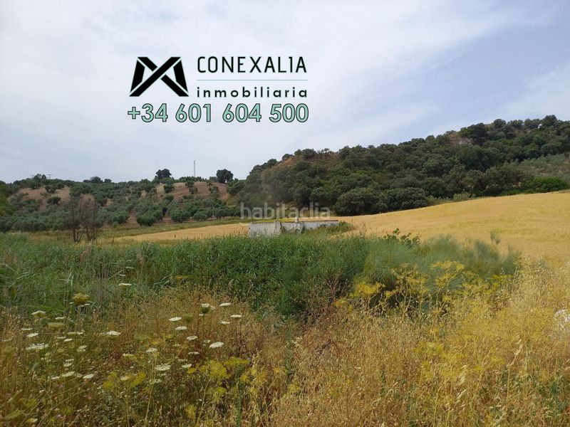 Foto 4f8ceaf1-6843-4421-8273-ba7d098d9049. Country house in camada de los lobos. carretera a-363 moron-pruna in Morón de la Frontera