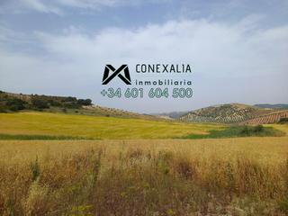 Masia en Camada de los lobos. carretera a-363 moron-pruna. Finca en venta en pruna.