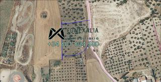Masia a Olvera. Finca en venta en ensanche.