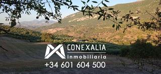 Masia a N/a. Finca en venta en algodonales, 3 dormitorios.
