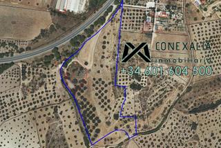 Masia a Olvera. Finca en venta en olvera.