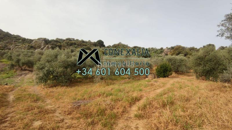 Foto 0d8bde3d-2ef7-4c94-8ebd-6d6c4d83ef18. Chalet  en venta . en Pruna