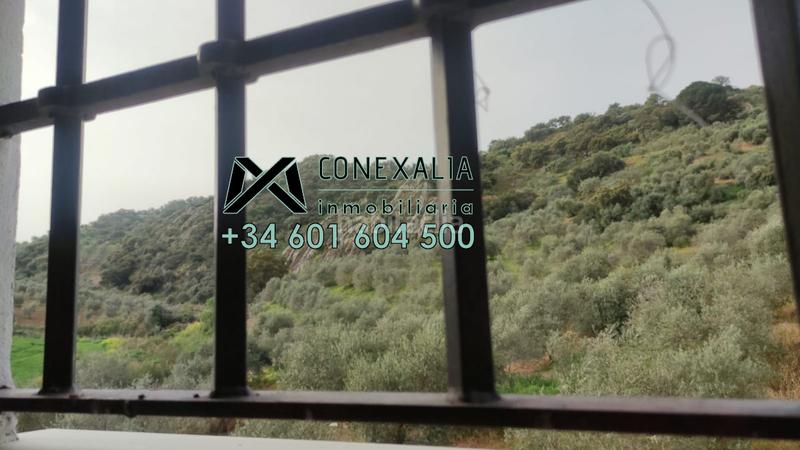 Foto 298d7195-0c9a-405d-8a0c-02ec238ca171. Chalet  en venta . en Pruna
