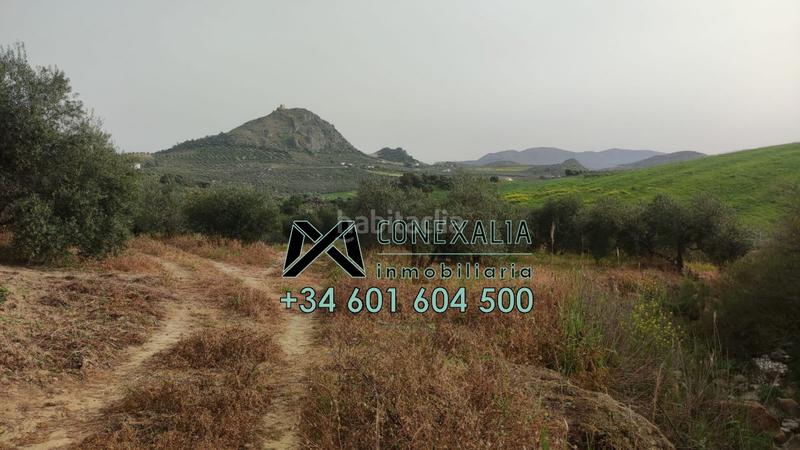 Foto 2f4a0a9a-7280-4f20-af0e-cf4dd3a290a7. Chalet  en venta . en Pruna