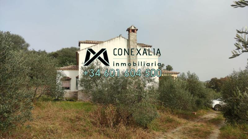 Foto 63fd10db-ca7a-4e91-9477-0325fbc332e5. Chalet  en venta . en Pruna