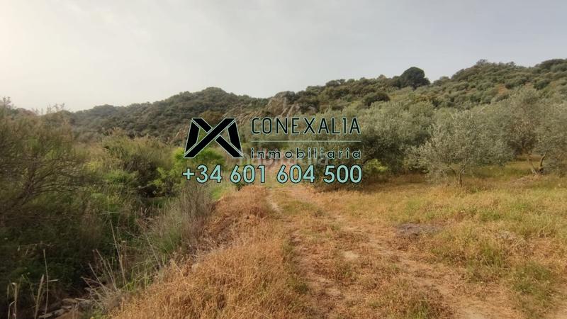 Foto 6df2e65e-490d-4033-b808-a3b4663e169e. Chalet  en venta . en Pruna