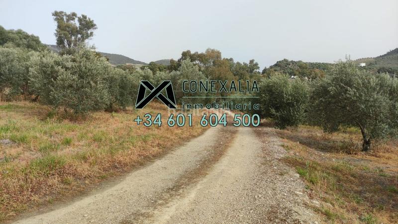 Foto c76f98cf-39a3-4ca5-9df5-116109d8a744. Chalet  en venta . en Pruna