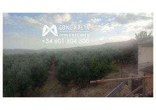 Masia a N/a. Finca en venta en setenil.