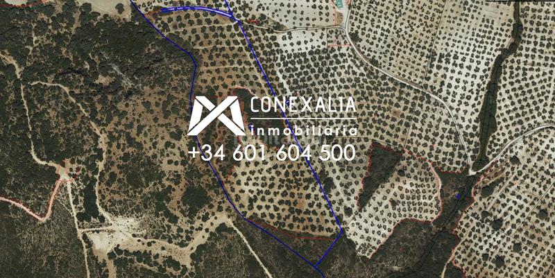 Foto 47d46598-343d-40e2-9f05-0fa11f03f6b1. Masia a Pruna