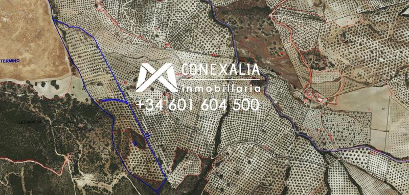 Foto 53023088-f935-4363-9c02-1b4a93cbf4fe. Masia a Pruna