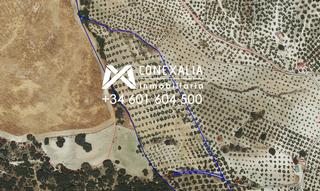 Masia a Pruna. Finca en venta en pruna.