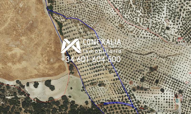 Foto 846cba50-528e-4be3-a617-43a5fb817eb8. Masia a Pruna