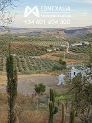 Masia a Olvera. Finca en venta en conjunto histórico.