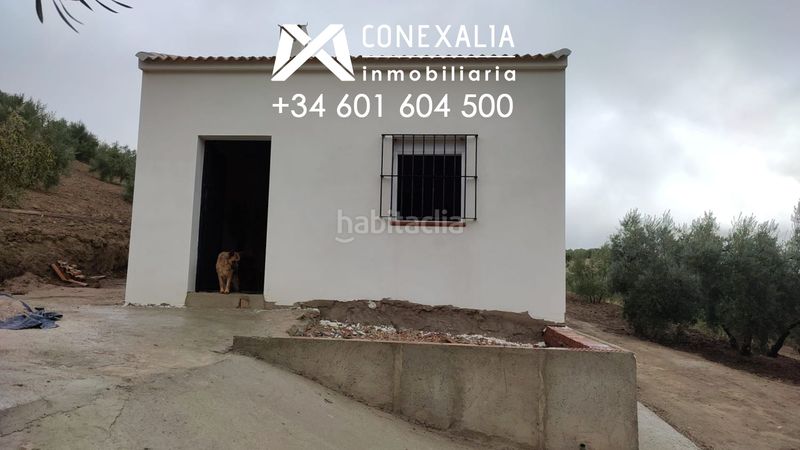 Foto 3e8e11ad-859d-4eed-bdef-2fea2af7e750. Masia a Alcalá del Valle