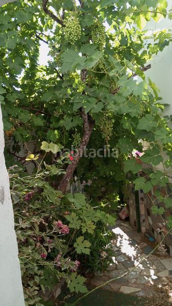 Foto a8cc46de-2fa9-4868-a147-86b4688314e4. Casa amb aparcament a Olvera