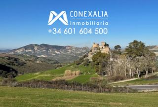 Masia a N/a. Finca en venta en olvera, 4 dormitorios.