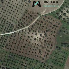 Masia a Olvera. Finca en venta en olvera.