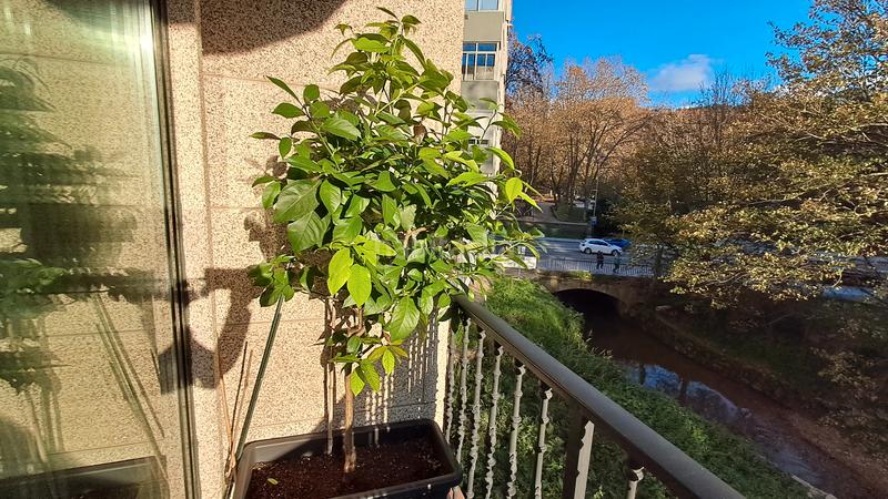 Foto db606a4b-b671-469a-808a-58daa4c747d8. Piso estupendo piso calidades superiores en As Travesas - Balaidos Vigo