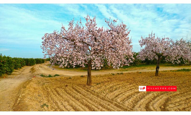 Foto 39a5c9e6-5f20-4919-b46a-bf35b69e7a85. Casa a schiera con parcheggio in San Miguel de Salinas