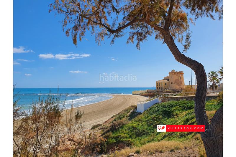 Foto 4b0b55bd-5df5-4cf5-be83-d7e216e9159e. Casa adossada a Los Almendros Orihuela