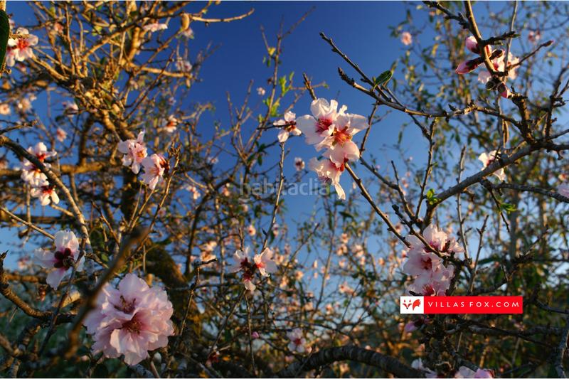 Foto ed18537a-a8c7-4ef0-8b71-0696483ba06d. Casa a schiera in Desamparados - Hurchillo - Torremendo Orihuela