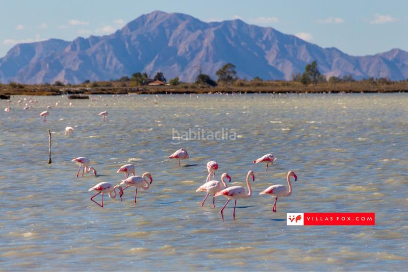 Foto 4c531a74-ceab-4c16-9992-f9190c529a31. Maison jumelée dans Desamparados - Hurchillo - Torremendo Orihuela