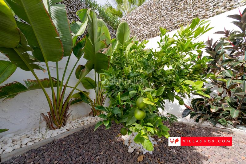 Foto 9739a687-7619-4c89-bae8-08376c77a5f9. Semi detached house in Desamparados - Hurchillo - Torremendo Orihuela