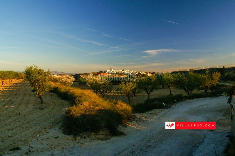 Foto 226515a3-8192-445b-be00-4a4c5c13366e. Apartament a San Miguel de Salinas