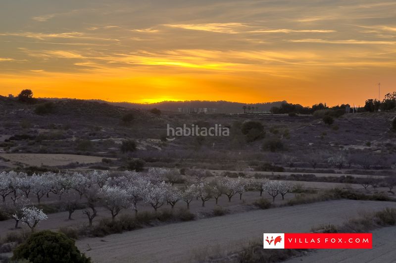 Foto f4c462cf-6fb2-4045-8bef-1cbf2806493a. Casa adossada a San Miguel de Salinas