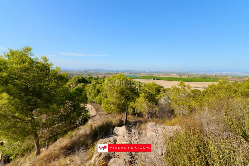 Foto b57799f2-1500-4c52-8761-faaef162ee91. Apartment in San Miguel de Salinas