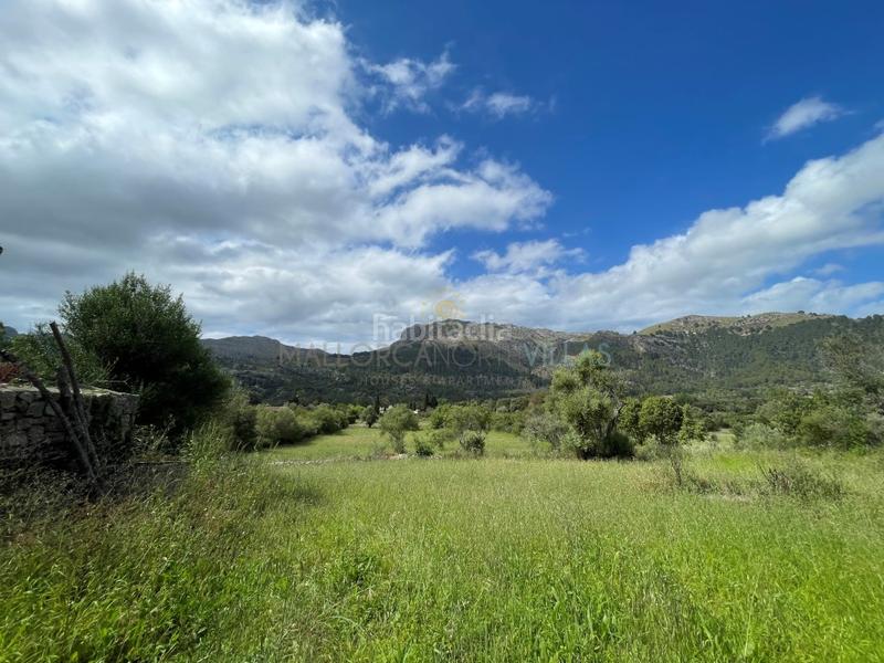 Foto aa009a96-d521-4dec-a9b4-bb9f8d7b7ccc. Casa con parcheggio in Pollença poble Pollença