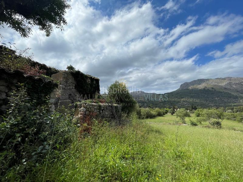 Foto e1ebdee3-3ea2-4368-b255-6ccc381d4bc0. Casa con parcheggio in Pollença poble Pollença