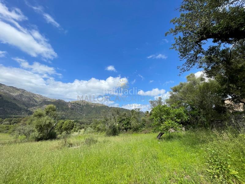 Foto e92ceff2-63dd-4eba-9d68-108a1203a278. Casa con parcheggio in Pollença poble Pollença