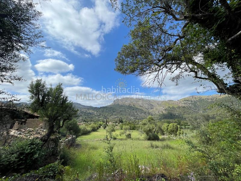 Foto f12e50f1-575c-47e3-a0ae-4c3d47eeb548. Casa con parcheggio in Pollença poble Pollença