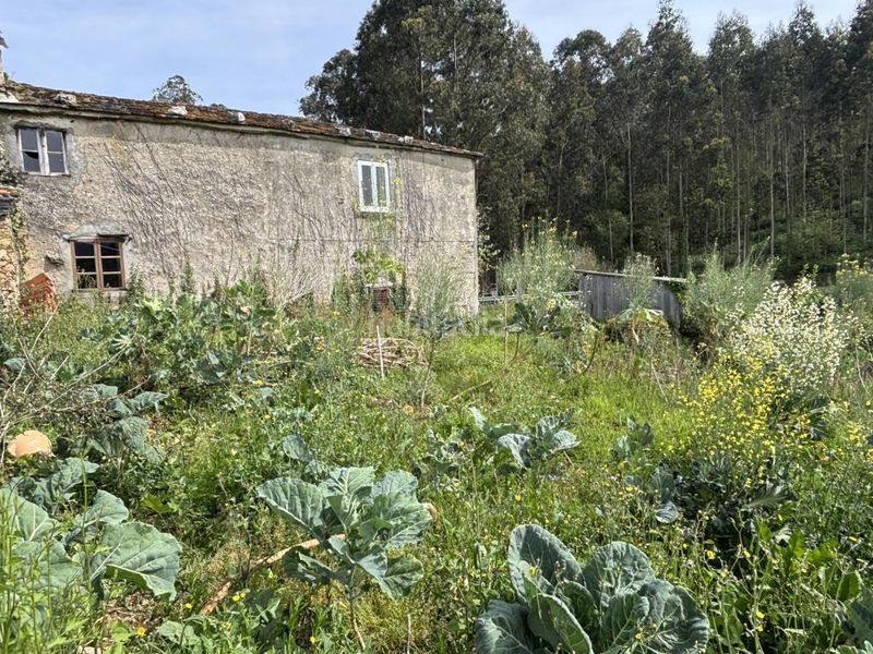 Foto e5e8c150-5bc0-409b-99af-78b2bee04d4f. Casa  baleo 31 en Ortigueira