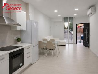 Pis  Pintor racionero castro. Loft en santa rosa